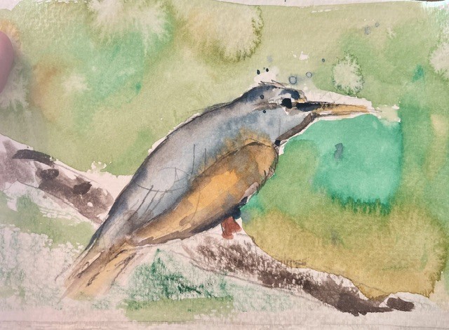 Fuglene Som Ble Borte Bugøynes Pykeijæ